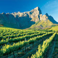 13 Days Southern Africa Explorer Tour