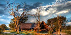 Bomani Lodge Accommodation in Hwange National Park