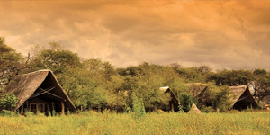 The Hide Camp in Hwange National Park