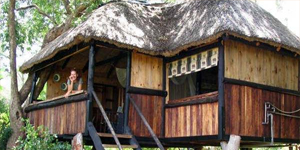 Ivory Tree Lodge, Hwange