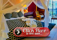 King and Twin rooms at Kingdom hotel