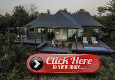 Tented Family Suite at Old Drift Lodge