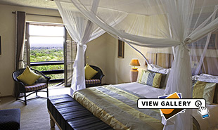 Bedroom and view outisde from Executive Rooma at the Elephant Hills hotel