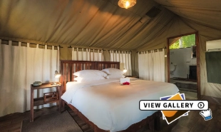 Large bed with white linen inside the canvas tent, with a view of the bathroom at the back