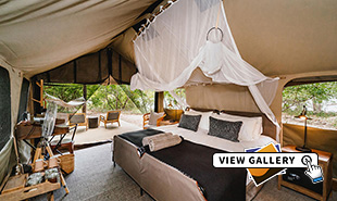 View of bed and interior of the Riverview tents