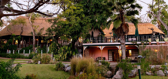 View of lodge and viewing decks